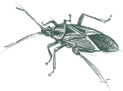 greenixpccom_141209602