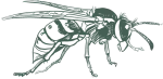 greenixpccom_191022086
