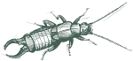 greenixpccom_237904492