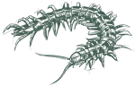 greenixpccom_260340703