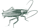 greenixpccom_344592422 (1)