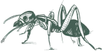 greenixpccom_432413851
