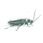 greenixpccom_474436373 (1)