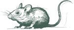 greenixpccom_533267293
