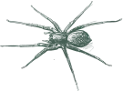 greenixpccom_565968731