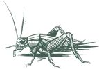 greenixpccom_609970119