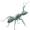 greenixpccom_621941412