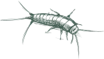 greenixpccom_702419672