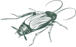 greenixpccom_757827012