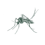 greenixpccom_831361352