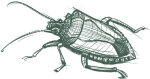 greenixpccom_950151430