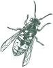 greenixpccom_990419494