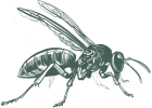 greenixpccom_999910345